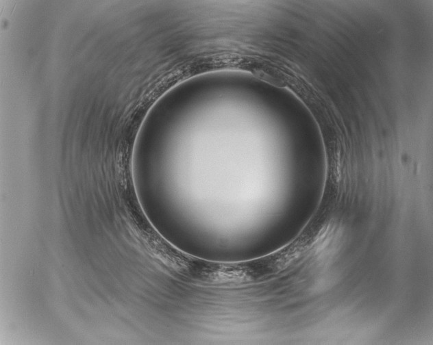 X0000057090270200509091321