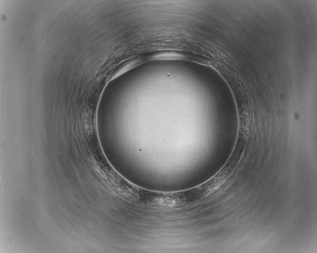 X0000057090272200509091321