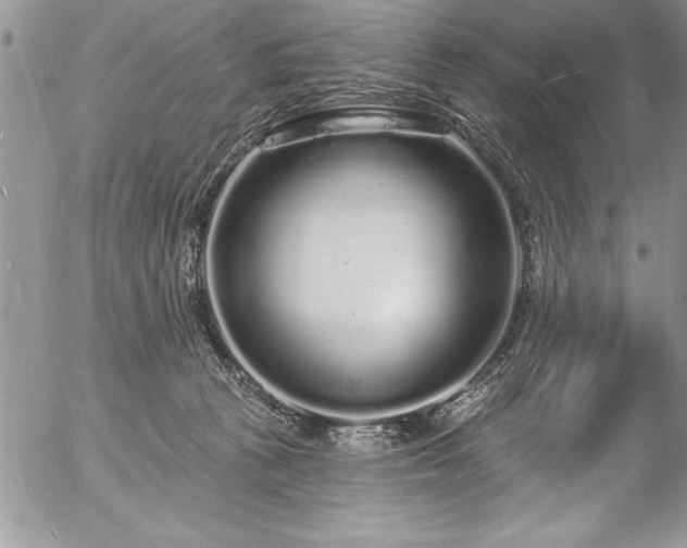 X0000057090273200509091321