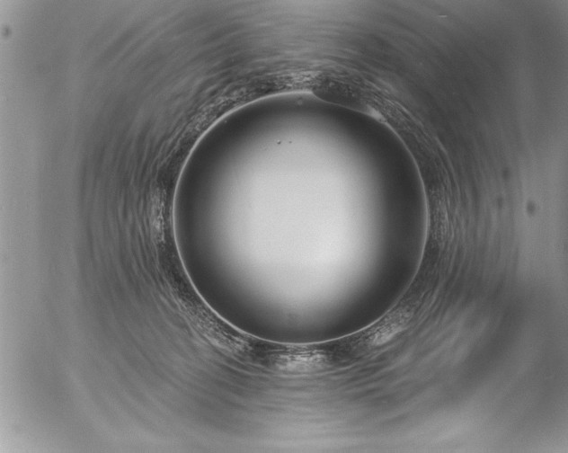 X0000057090274200509091321