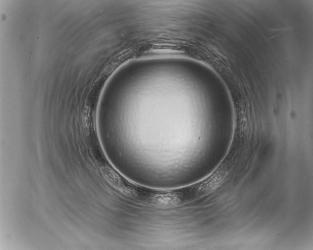 X0000057090275200509091321