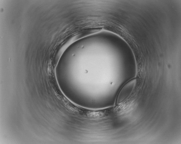 X0000057090277200509091321