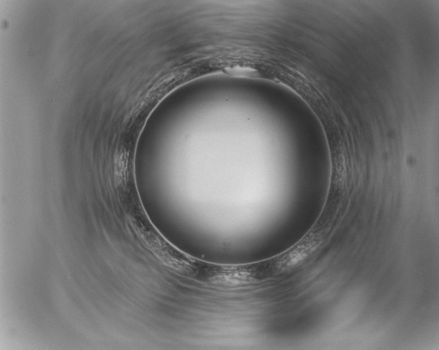 X0000057090278200509091321