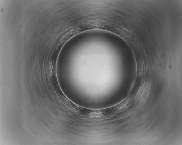 X0000057090279200509091321