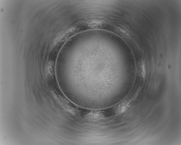 X0000057090280200509091321