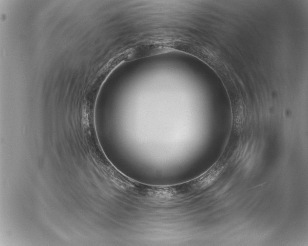 X0000057090282200509091321