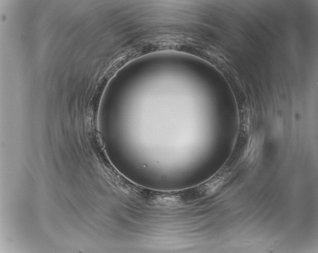 X0000057090283200509091321