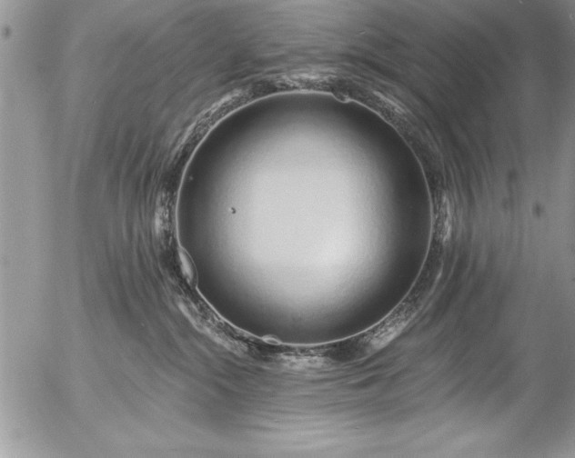 X0000057090284200509091321