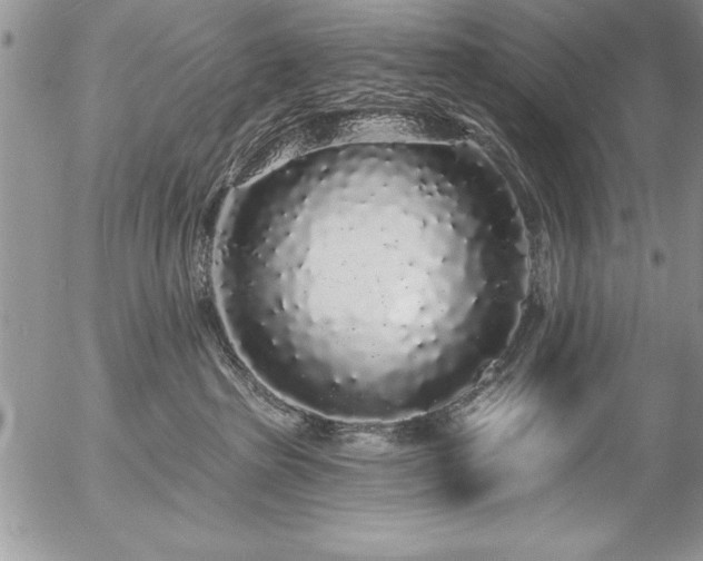 X0000057090285200509091321