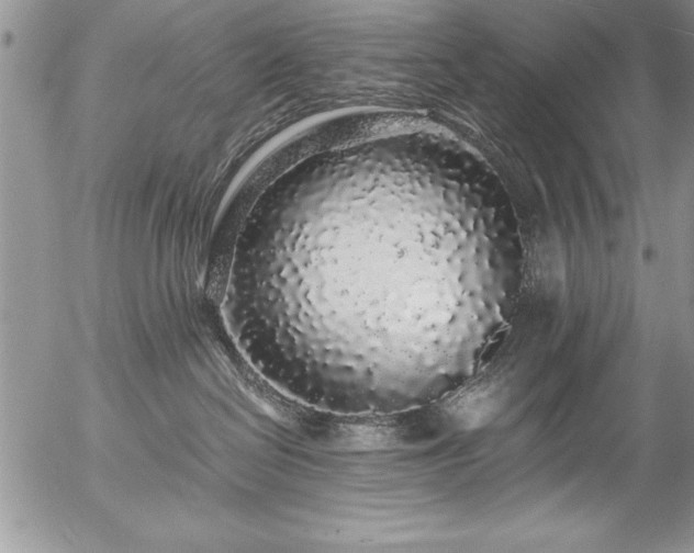 X0000057090286200509091321