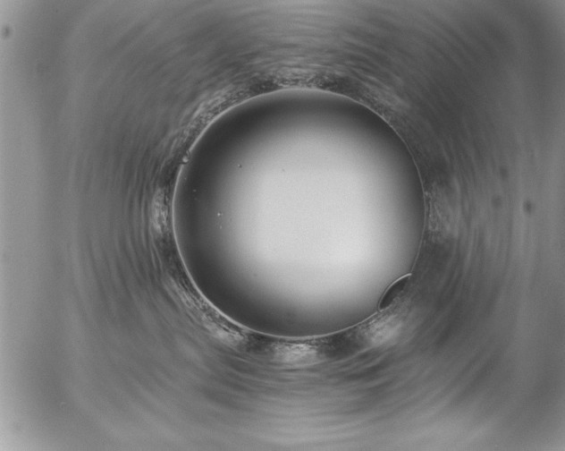 X0000057090287200509091321