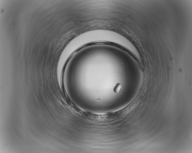 X0000057090288200509091321