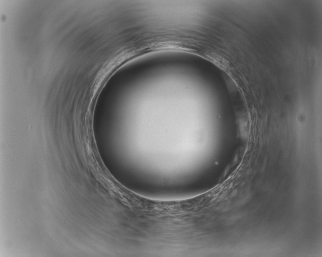 X0000057090289200509091321