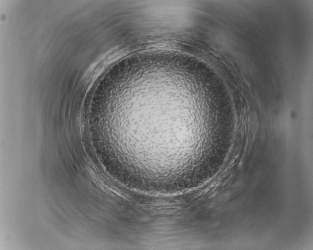 X0000057090290200509091321