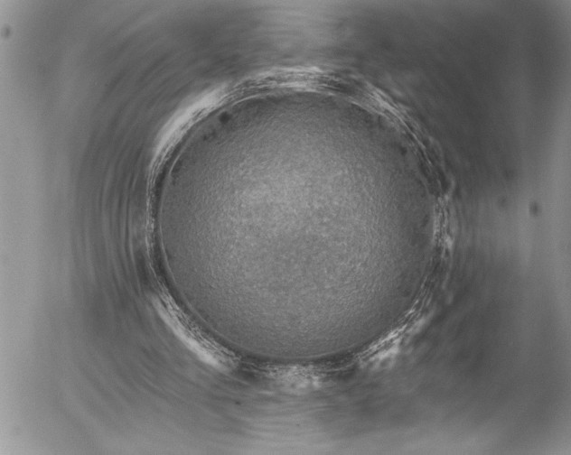 X0000057090293200509091321