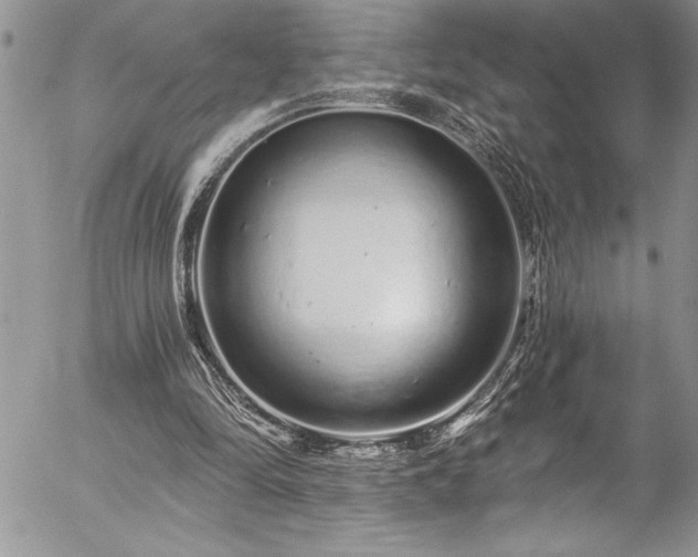 X0000057090294200509091320