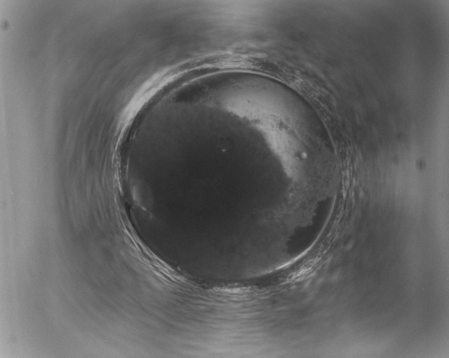 X0000057090295200509091320