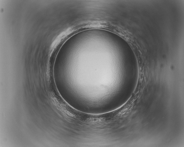 X0000057090296200509091320