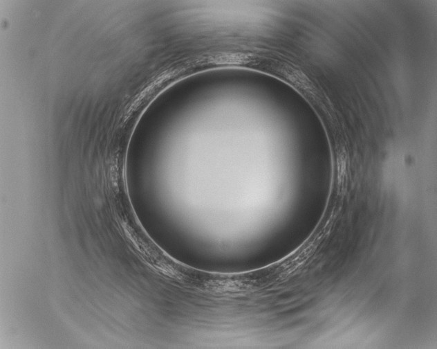 X0000057090297200509091320