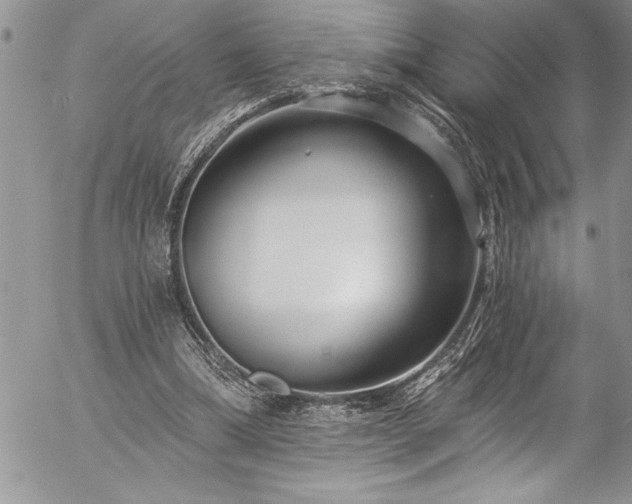 X0000057090298200509091320