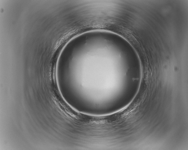 X0000057090299200509091320