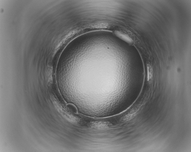 X0000057090300200509091320