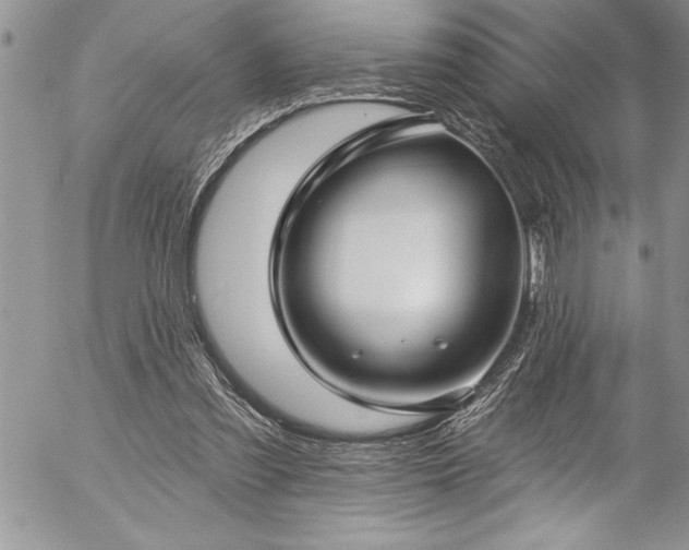 X0000057090301200509091320