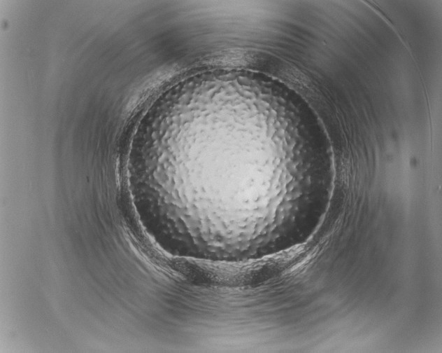 X0000057090302200509091320