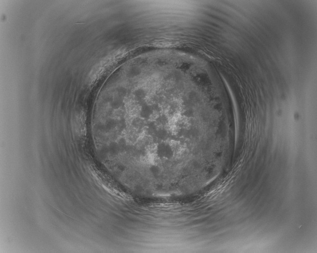 X0000057090303200509091320