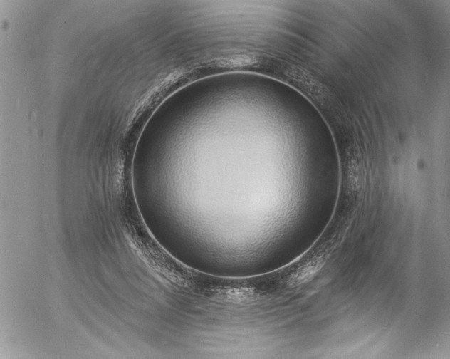 X0000057090304200509091320