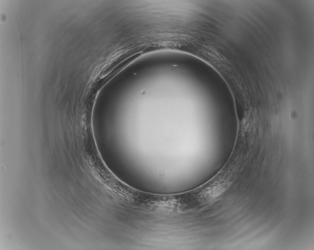 X0000057090306200509091320