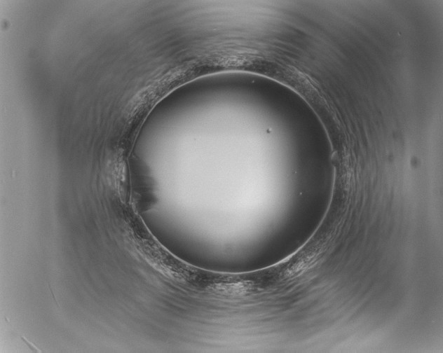 X0000057090307200509091320