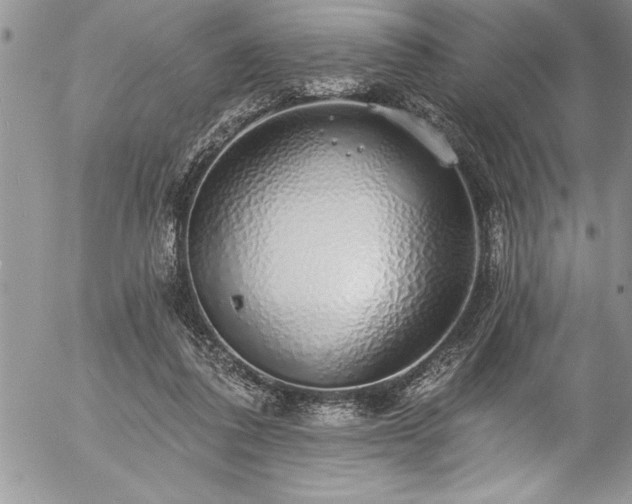 X0000057090308200509091320