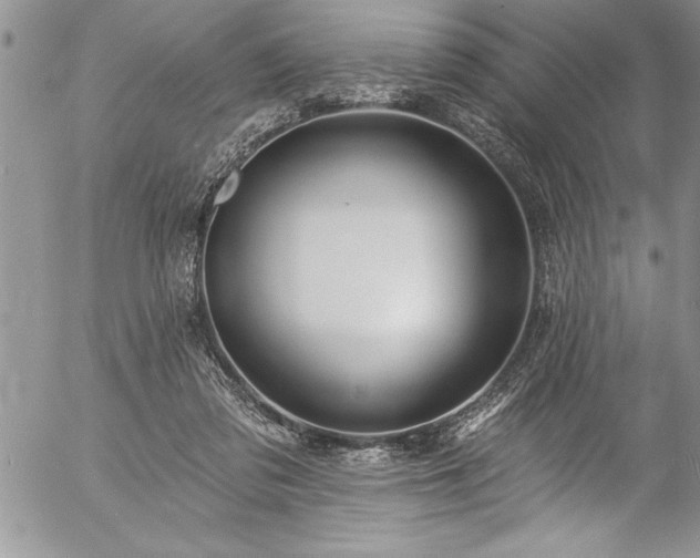 X0000057090309200509091320