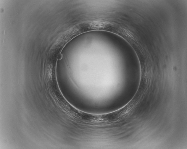 X0000057090315200509091320