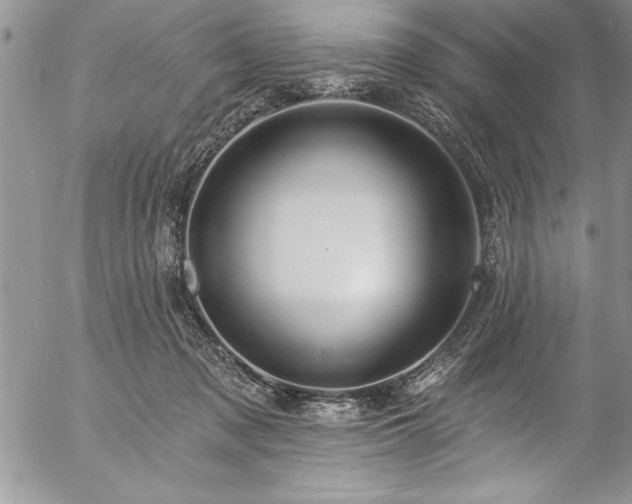 X0000057090317200509091320