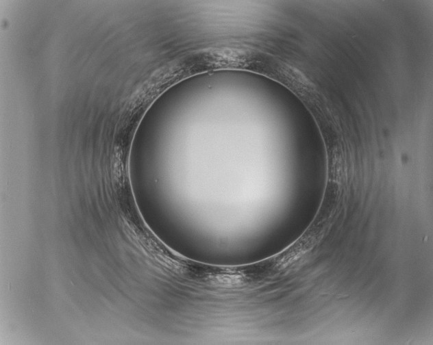 X0000057090318200509091320