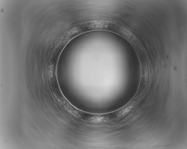 X0000057090326200509091320