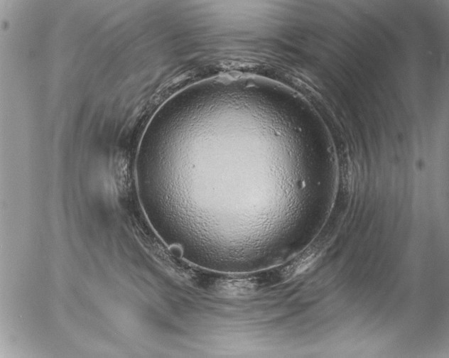 X0000057090327200509091320