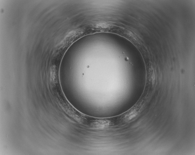 X0000057090328200509091320