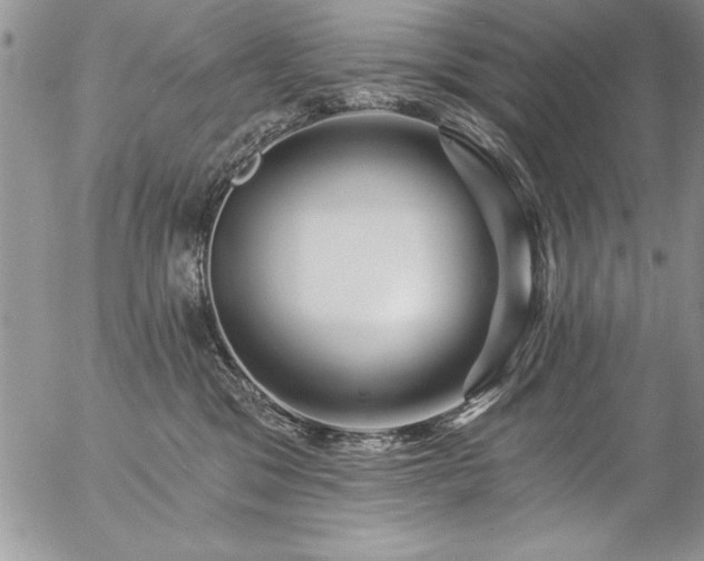 X0000057090329200509091320