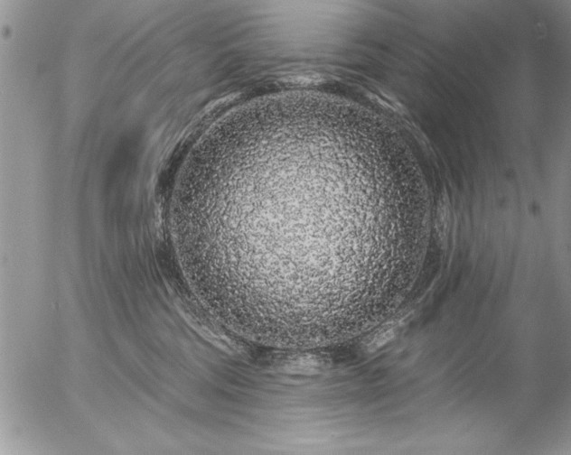 X0000057090330200509091320