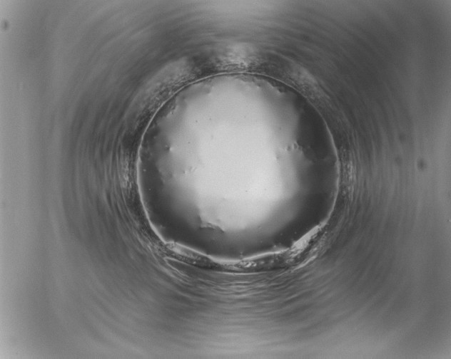 X0000057090331200509091320