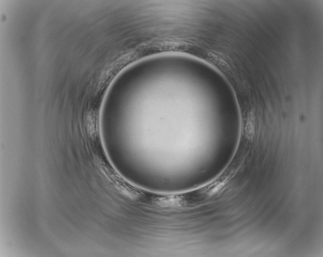 X0000057090335200509091320