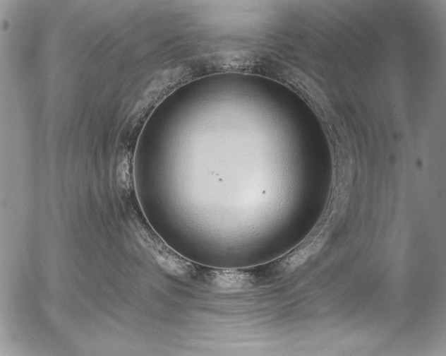 X0000057090336200509091320