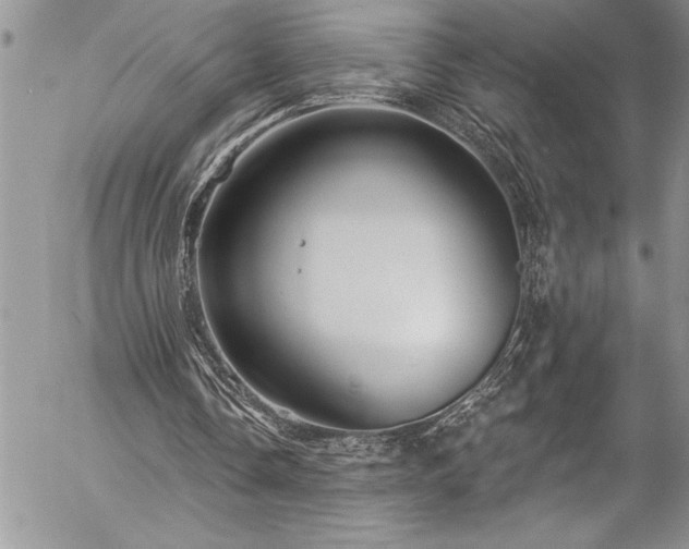 X0000057090338200509091319