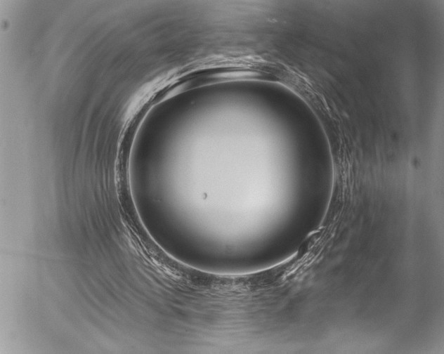 X0000057090340200509091319