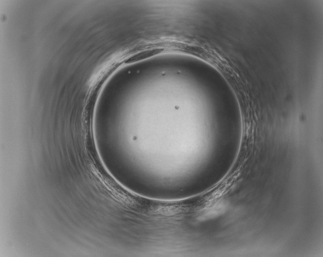 X0000057090341200509091319