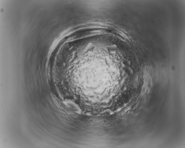 X0000057090343200509091319