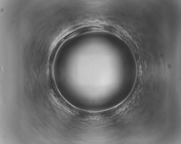 X0000057090344200509091319